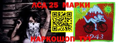 ешки Гатчина