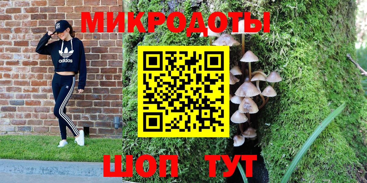 Галлюциногенные грибы прущие грибы Санкт-Петербург